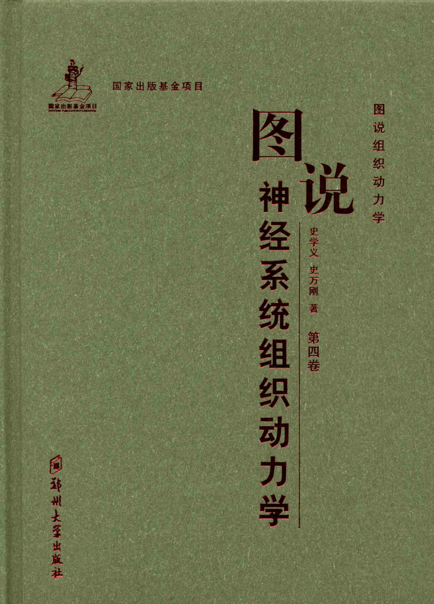 圖說神經系統組織動力學